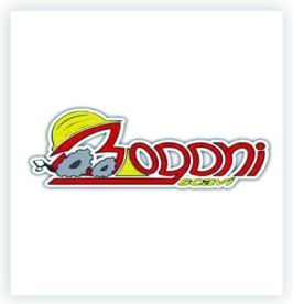 BOGONI SCAVI SRL